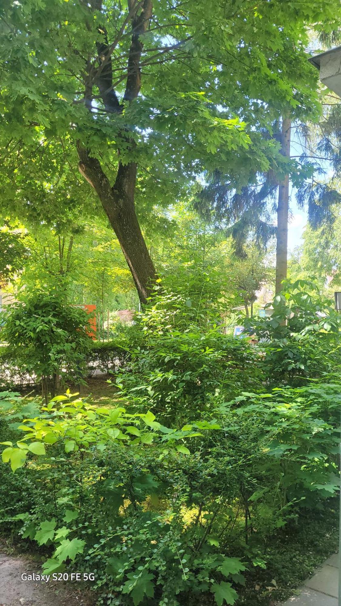 Apartament Przy Parku Nałęczów Eksteriør billede
