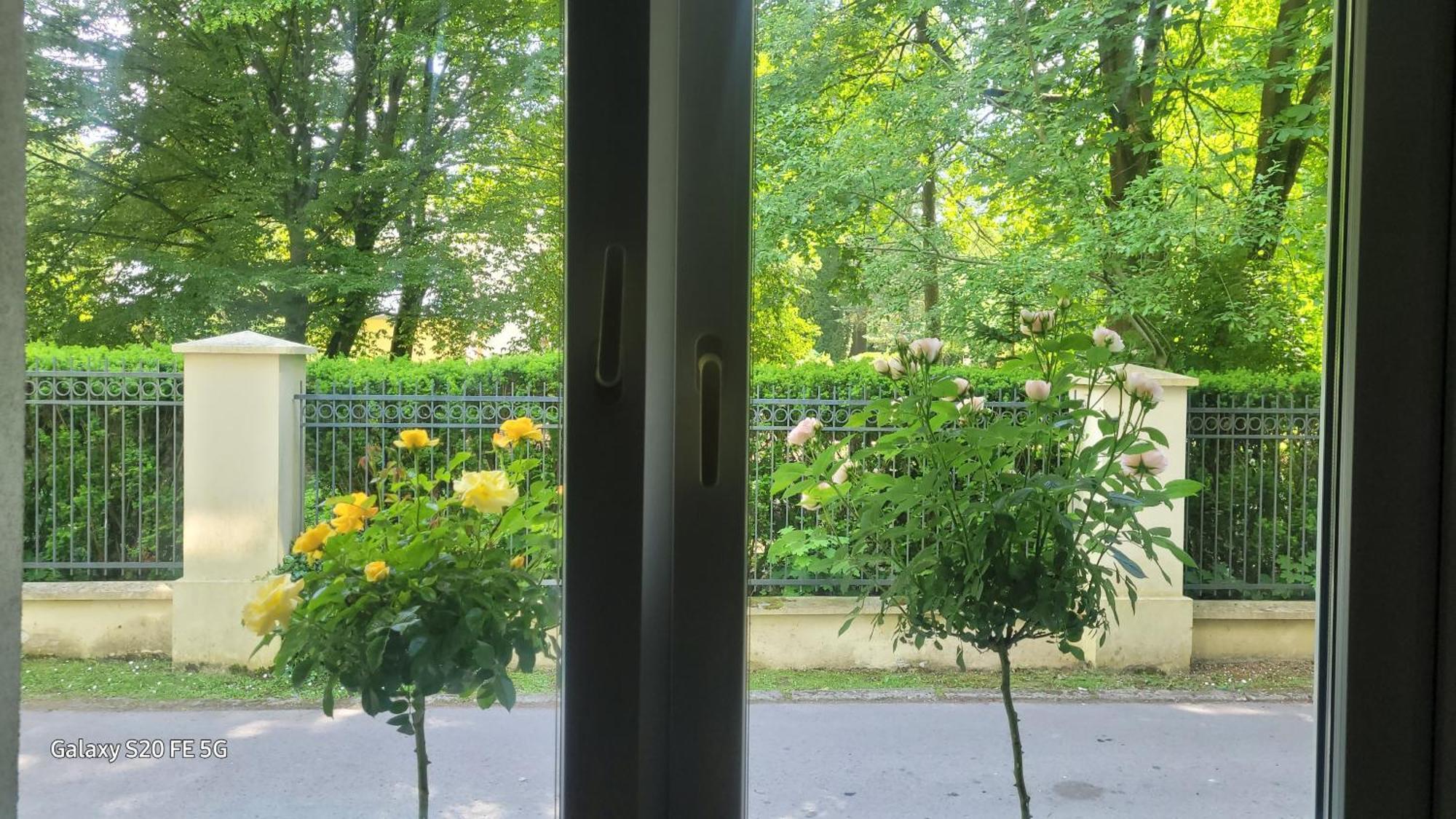 Apartament Przy Parku Nałęczów Eksteriør billede