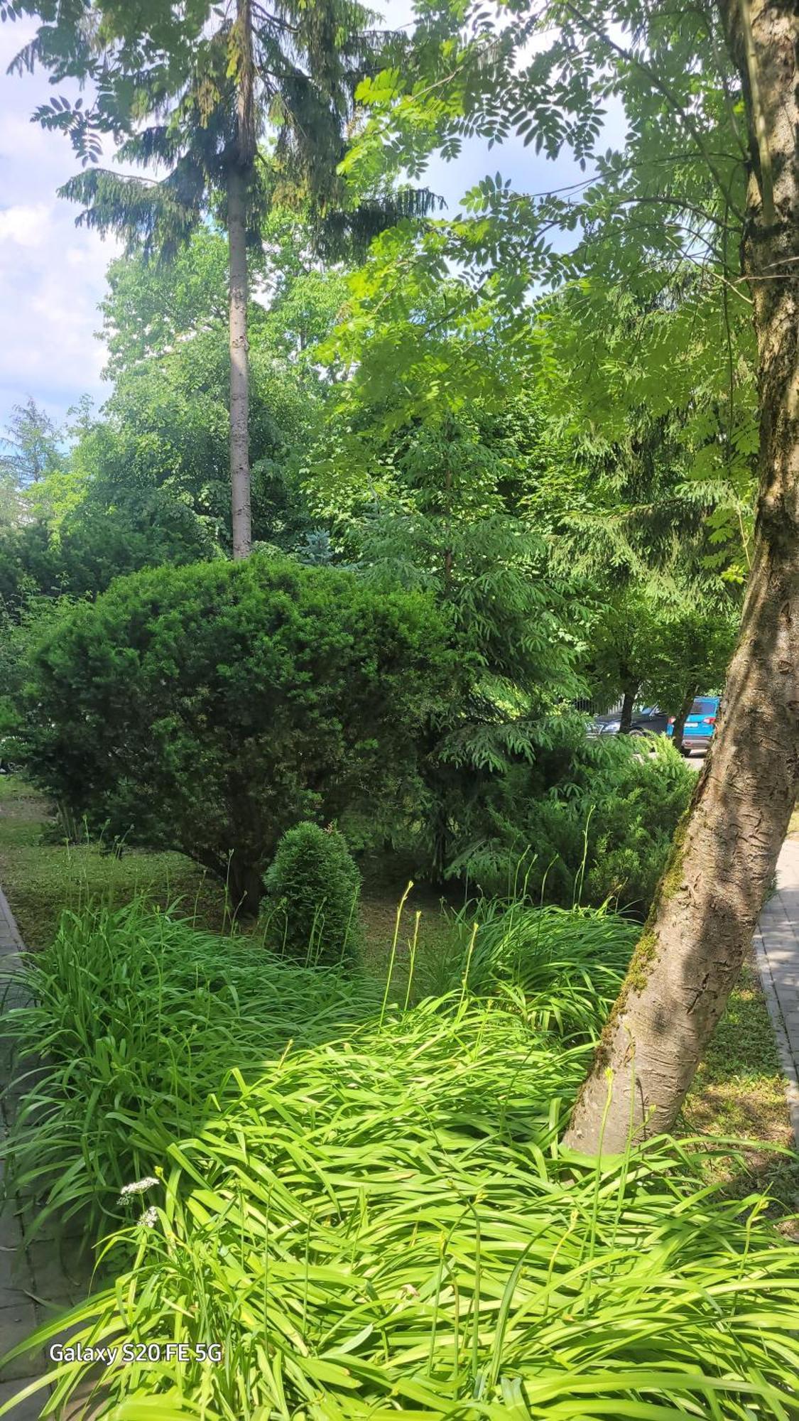Apartament Przy Parku Nałęczów Eksteriør billede